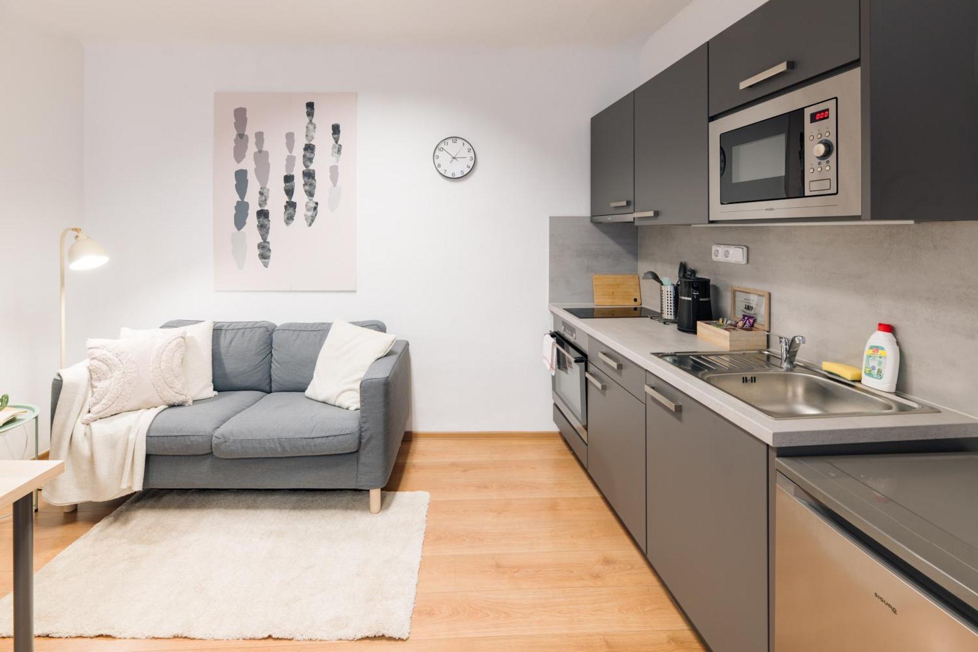 7 Nights Apartments Dominikanske N. Brno Eksteriør bilde